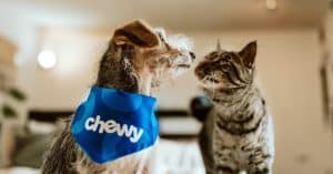 Chewy UGC campaign